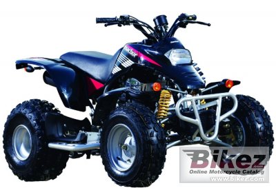 2009 Macbor ATV CX 250R photo